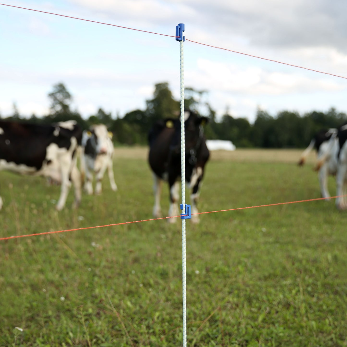 Piquets en fibre de verre solides, légers et non conducteurs au courant électrique. Fabriqués à partir de matières premières de haute qualité, résistants aux effets néfaste du froid, de la chaleur et des rayons UV.