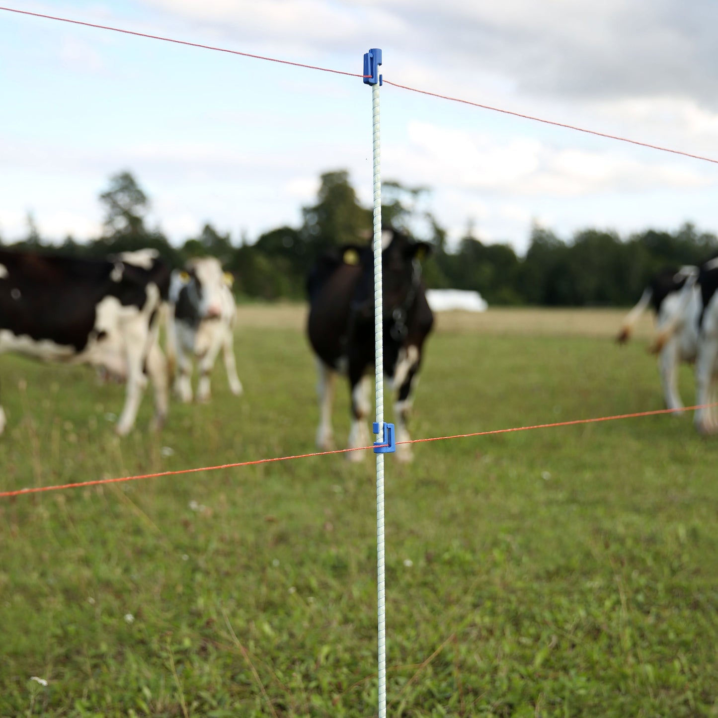 Piquets en fibre de verre solides, légers et non conducteurs au courant électrique. Fabriqués à partir de matières premières de haute qualité, résistants aux effets néfaste du froid, de la chaleur et des rayons UV.