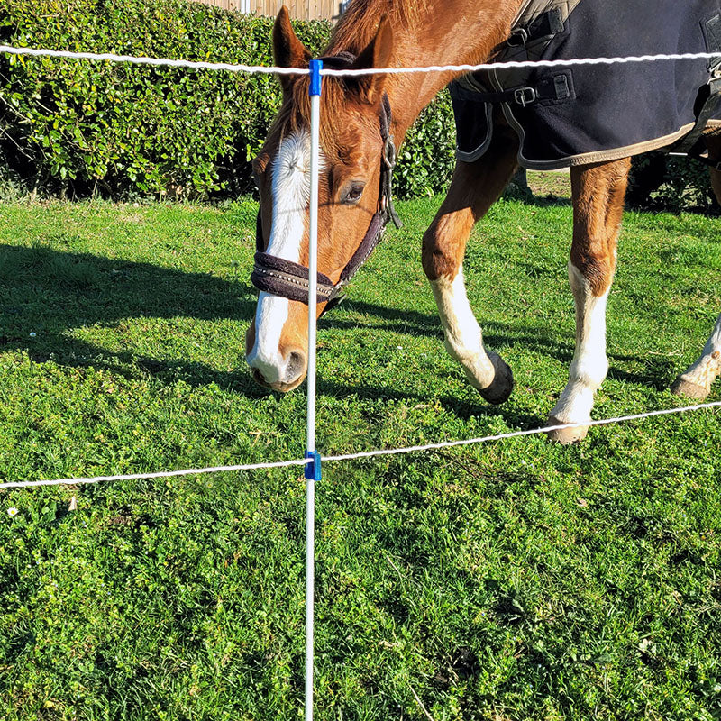 Isolateur pour cordelette/ruban