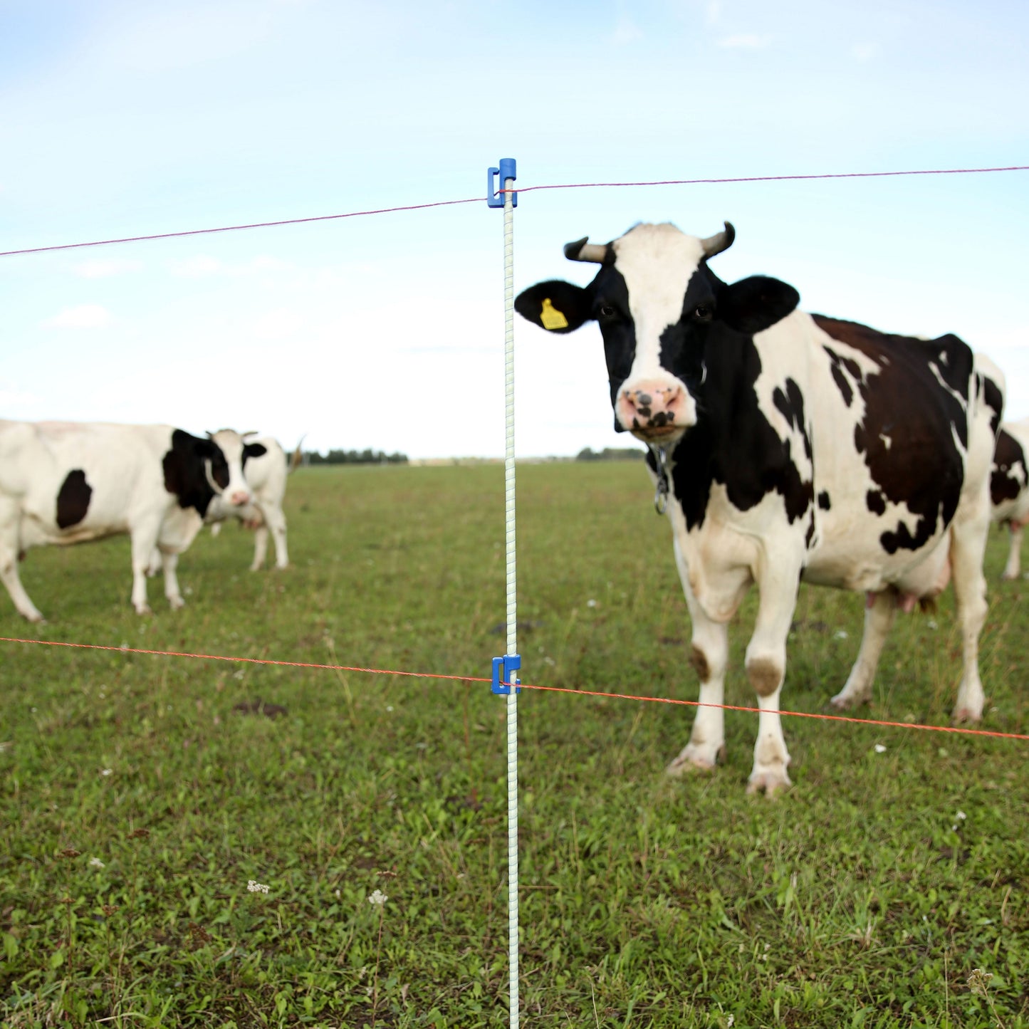 Piquets en fibre de verre solides, légers et non conducteurs au courant électrique. Fabriqués à partir de matières premières de haute qualité, résistants aux effets néfaste du froid, de la chaleur et des rayons UV.