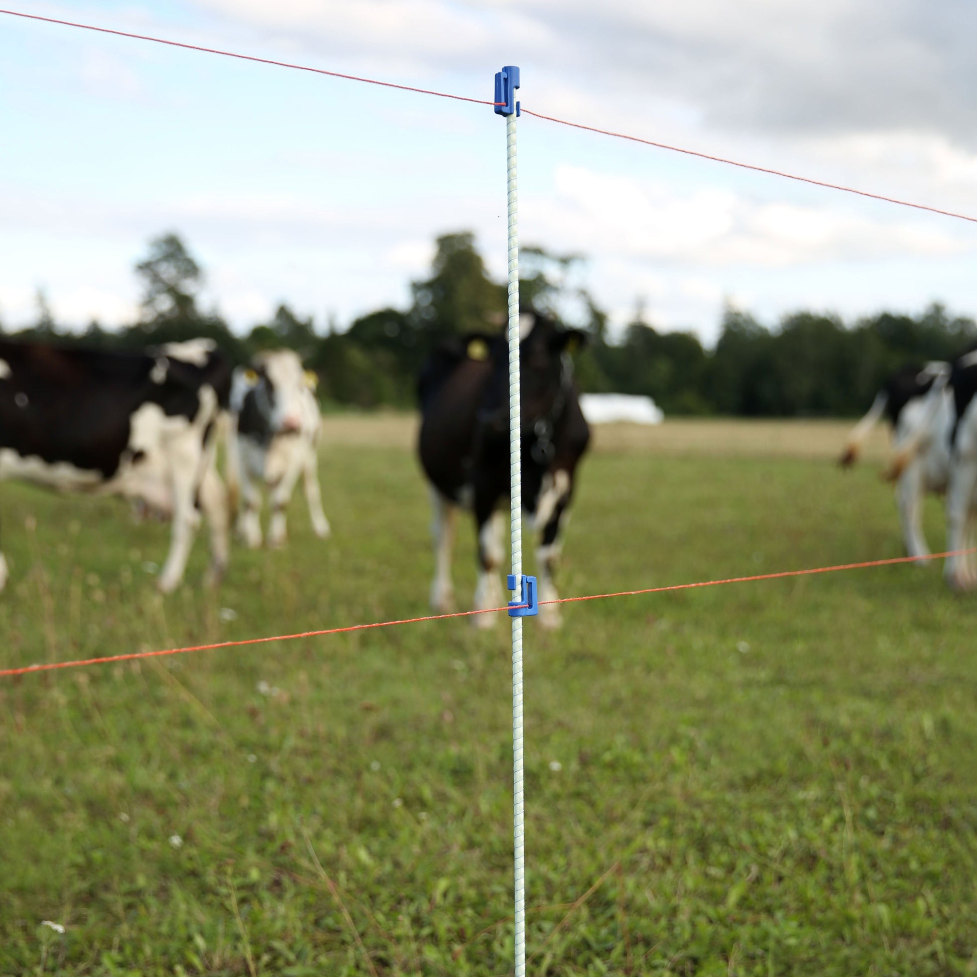 Piquets en fibre de verre solides, légers et non conducteurs au courant électrique. Fabriqués à partir de matières premières de haute qualité, résistants aux effets néfaste du froid, de la chaleur et des rayons UV.